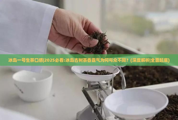 冰岛一号生茶口感