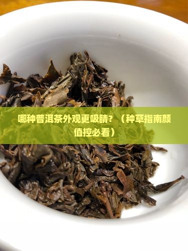 普洱茶哪种风格好看点的