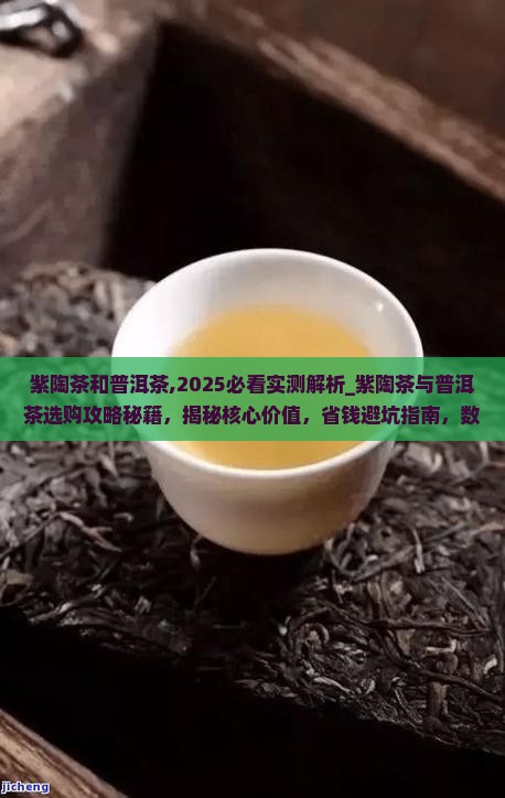 紫陶茶和普洱茶