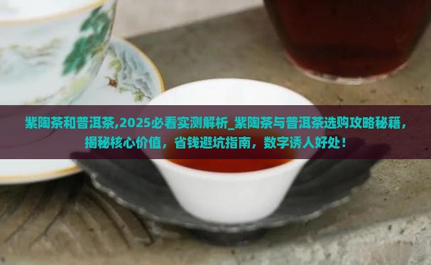 紫陶茶和普洱茶