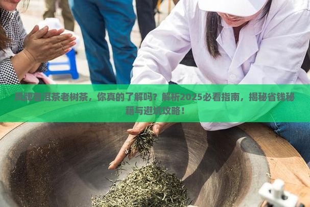 凤牌普洱茶老树茶