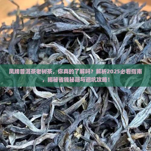 凤牌普洱茶老树茶
