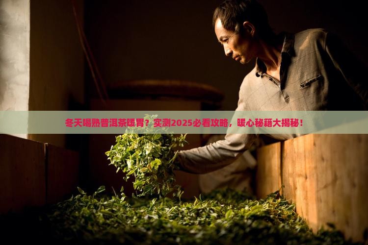 冬天喝熟普洱茶暖胃