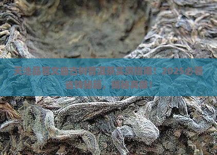 天池品茗文曲古树普洱茶