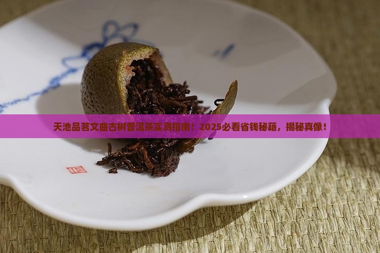 天池品茗文曲古树普洱茶