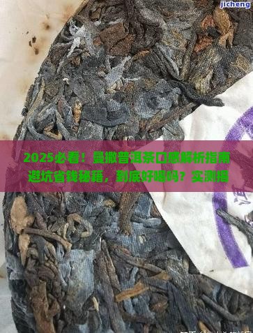 曼撒普洱茶口感怎么样好喝吗