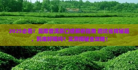 曼撒普洱茶口感怎么样好喝吗