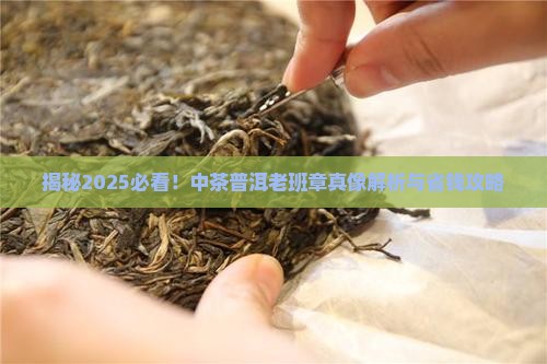 中茶普洱老班章