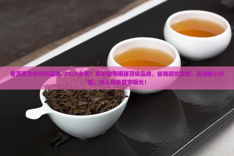 普洱茶古树纯料品牌