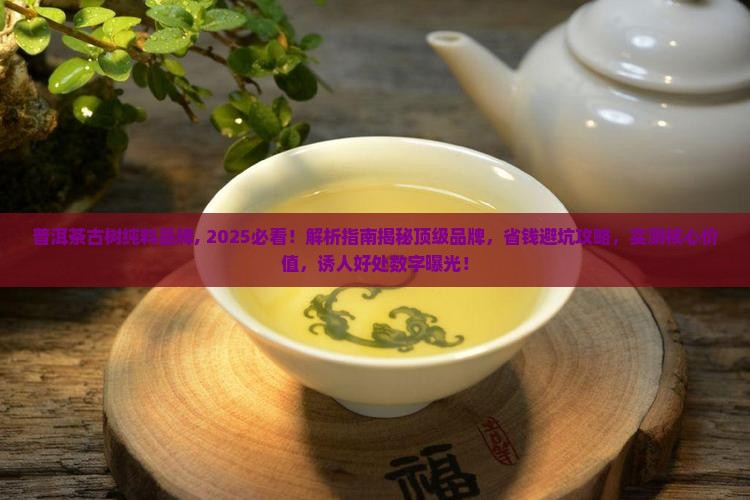 普洱茶古树纯料品牌