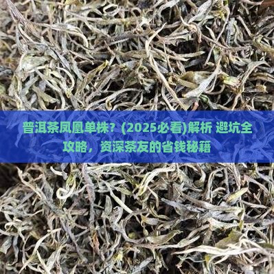 普洱茶凤凰单株