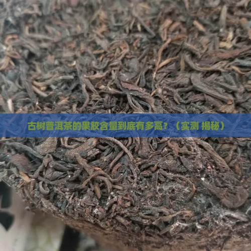 古树普洱茶果胶含量