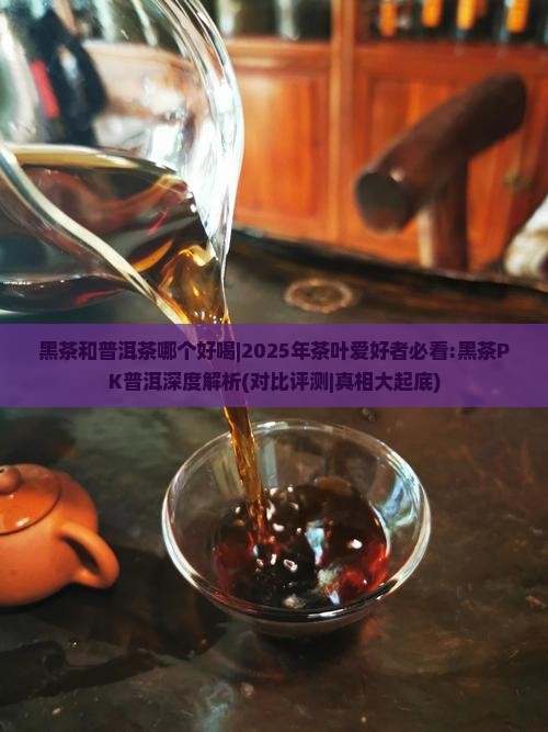 黑茶和普洱茶哪个好喝