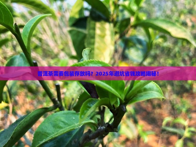 普洱茶需要包装存放