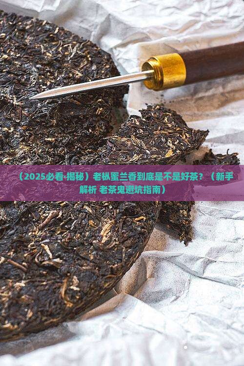 老枞蜜兰香是什么茶
