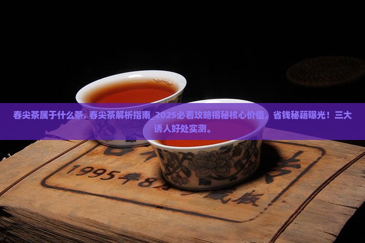 春尖茶属于什么茶
