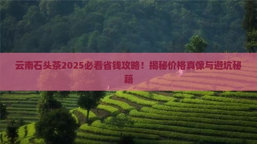 云南石头茶多少钱一斤