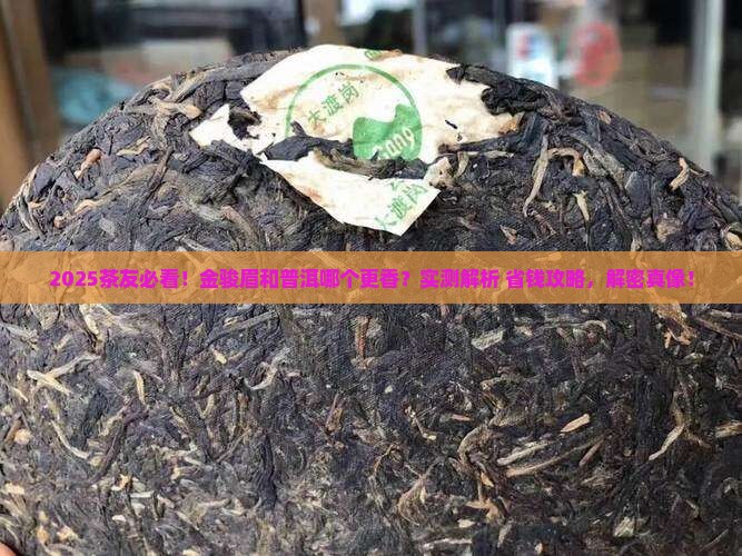 金骏眉好还是普洱好