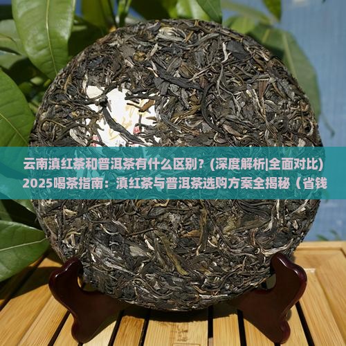 云南滇红茶和普洱茶有什么区别