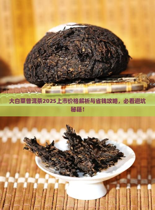 大白菜普洱茶上市价格