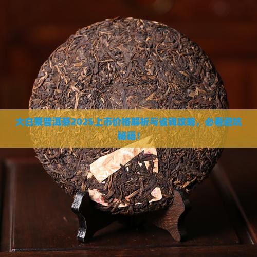 大白菜普洱茶上市价格