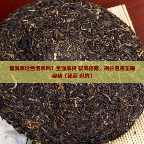 普洱茶适合泡茶吗