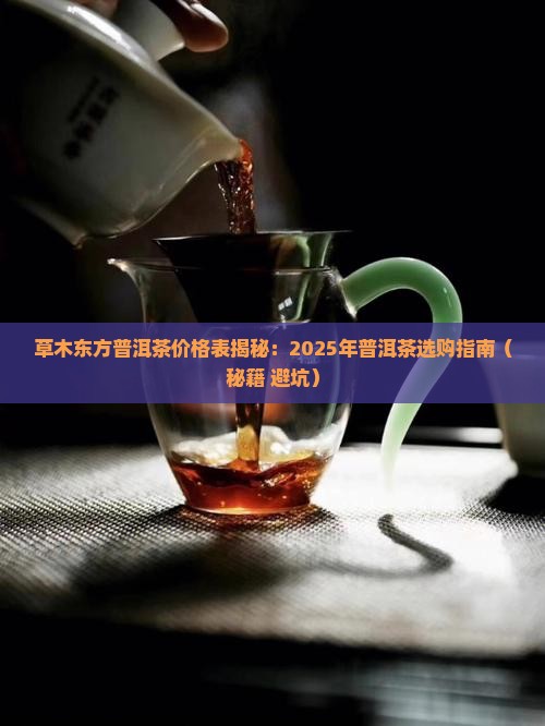 草木东方普洱茶价格表