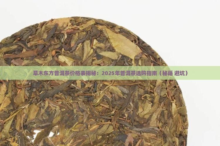 草木东方普洱茶价格表