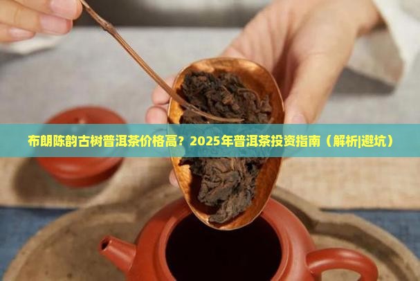 布朗陈韵古树普洱茶价格