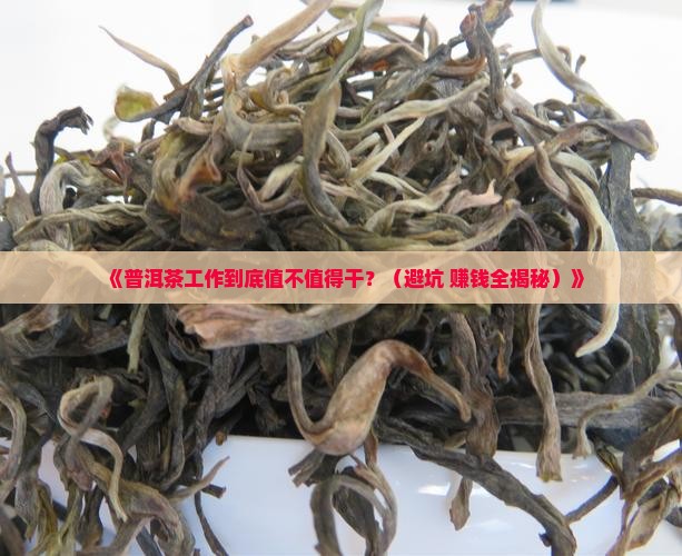 普洱茶工作怎么样