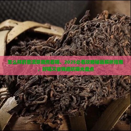 怎么样的普洱茶能煮着喝
