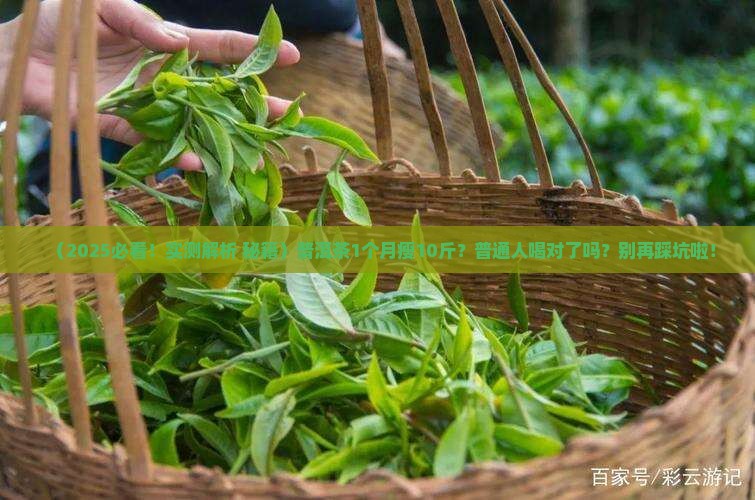 普洱茶1个月瘦10斤