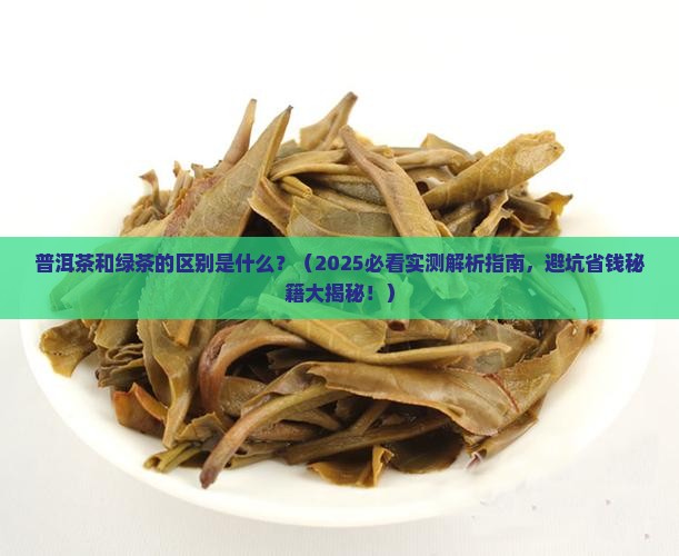 普洱茶是和绿茶的区别