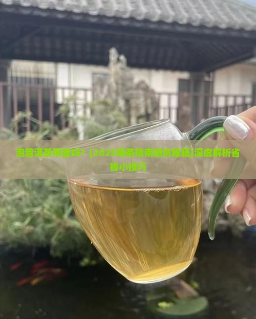 泡普洱茶用盖吗