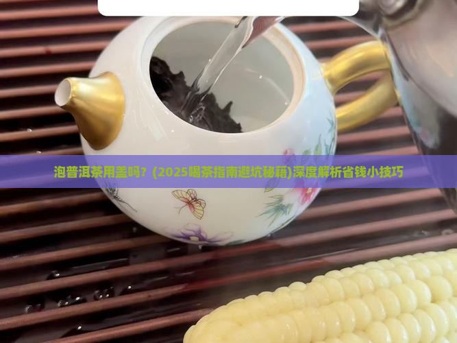泡普洱茶用盖吗