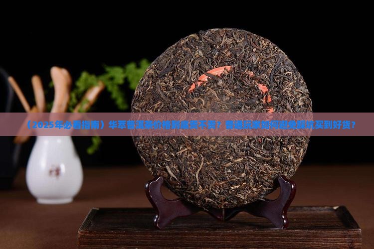 华萃普洱茶价格