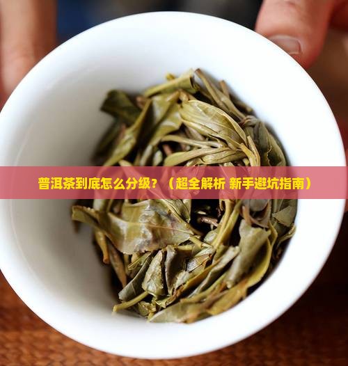 普洱茶如何分级