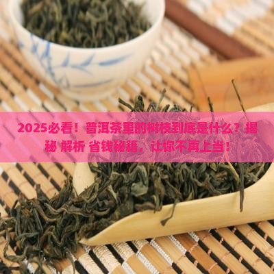 普洱茶里面的树枝是什么