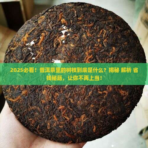 普洱茶里面的树枝是什么