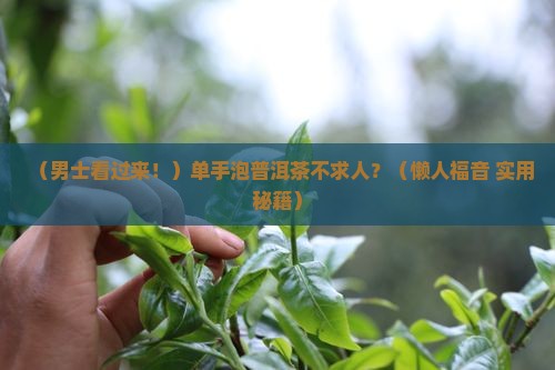 男士单手泡普洱茶