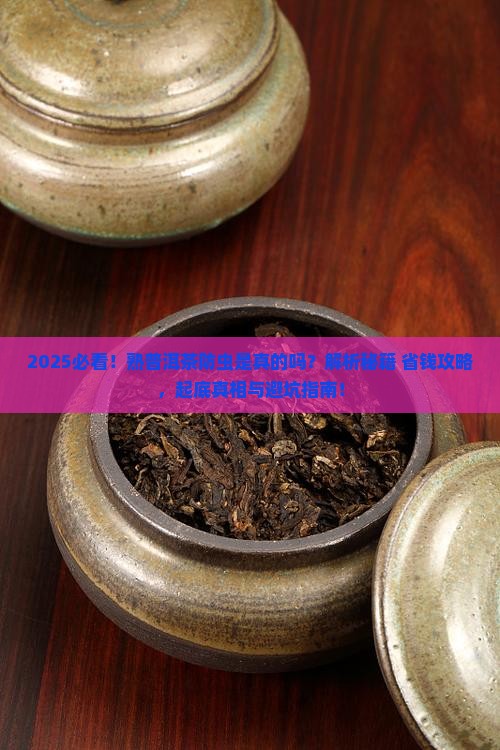 熟普洱茶为什么能防止生虫