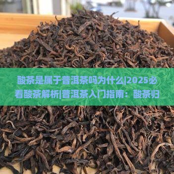 酸茶是属于普洱茶吗为什么