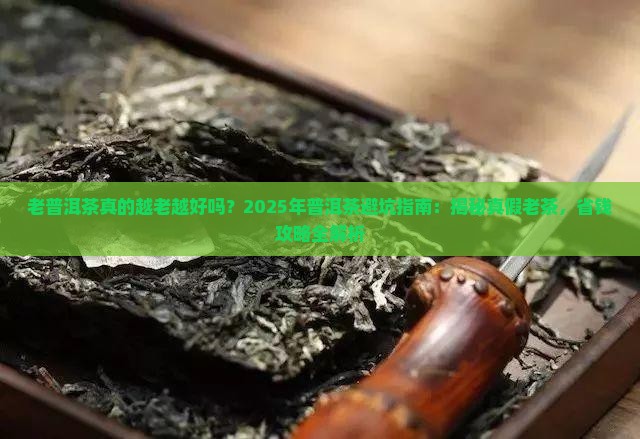 老普洱茶越老越好吗