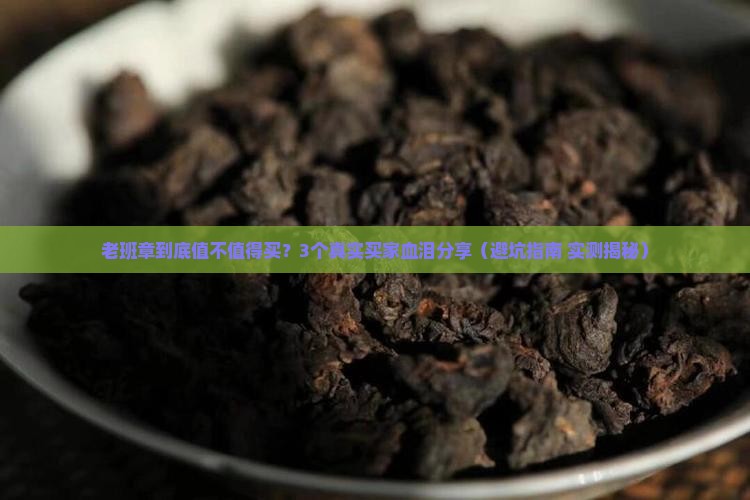 鹰潭口碑好的老班章