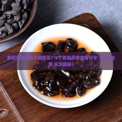 鹰潭口碑好的老班章