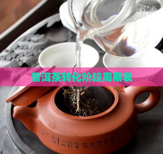 普洱茶转化周期表