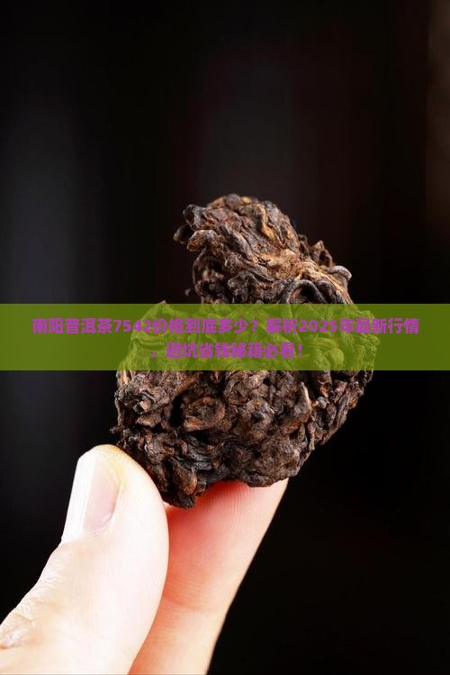 南阳普洱茶7542价格