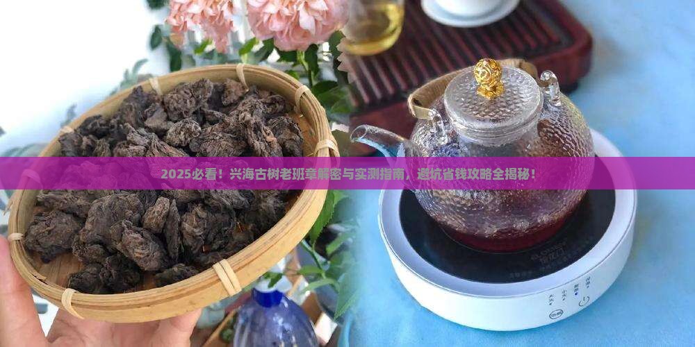 2015年兴海古树老班章 2015年兴海古树老班章