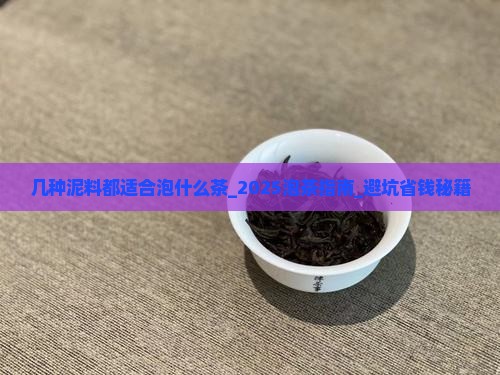 几种泥料都适合泡什么茶