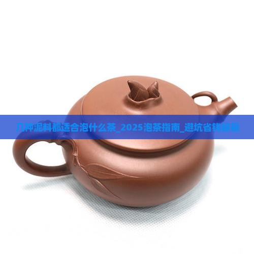 几种泥料都适合泡什么茶